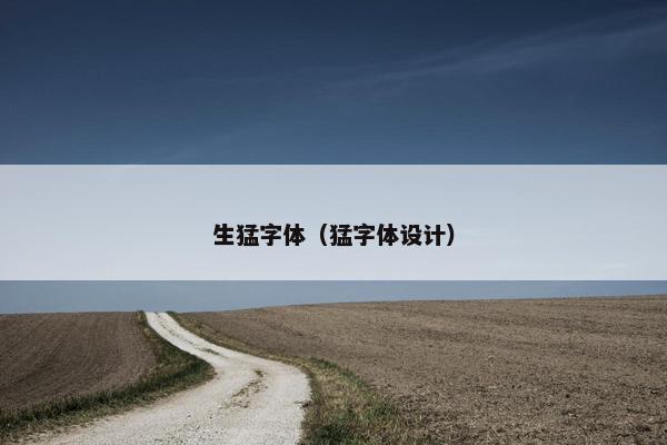 生猛字体（猛字体设计）