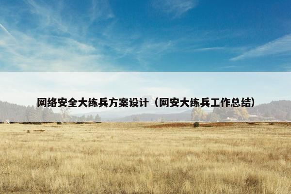 网络安全大练兵方案设计（网安大练兵工作总结）