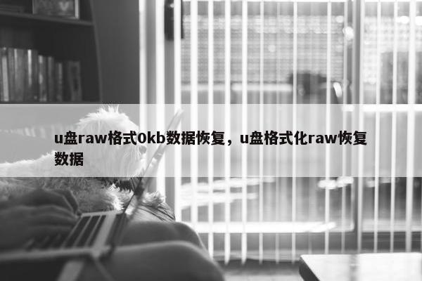 u盘raw格式0kb数据恢复，u盘格式化raw恢复数据