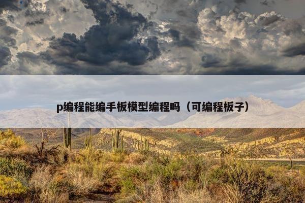 p编程能编手板模型编程吗（可编程板子）
