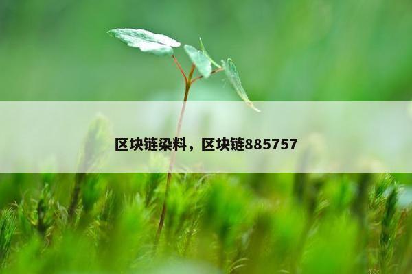 区块链染料，区块链885757