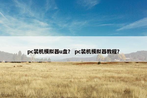 pc装机模拟器u盘？ pc装机模拟器教程？