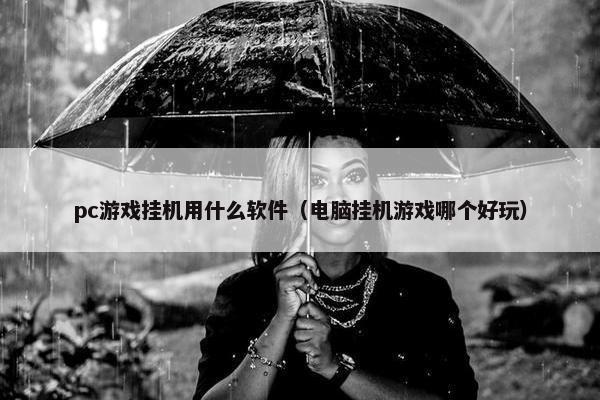 pc游戏挂机用什么软件（电脑挂机游戏哪个好玩）