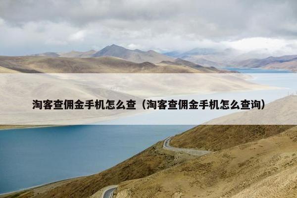 淘客查佣金手机怎么查（淘客查佣金手机怎么查询）