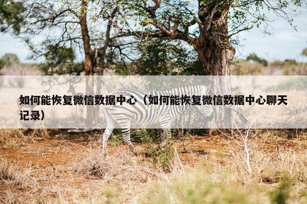 如何能恢复微信数据中心（如何能恢复微信数据中心聊天记录）