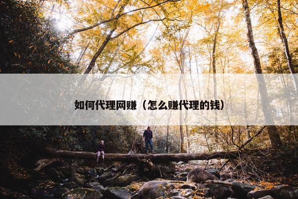 如何代理网赚（怎么赚代理的钱）