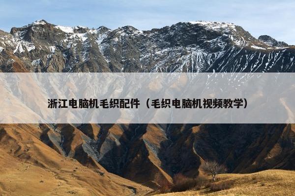 浙江电脑机毛织配件（毛织电脑机视频教学）