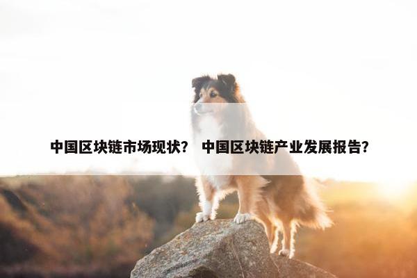 中国区块链市场现状？ 中国区块链产业发展报告？