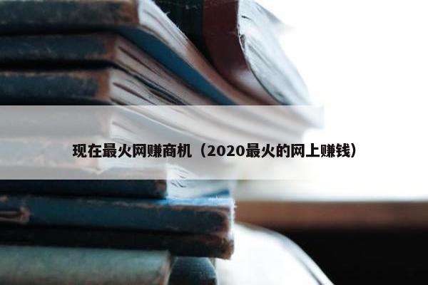 现在最火网赚商机（2020最火的网上赚钱）