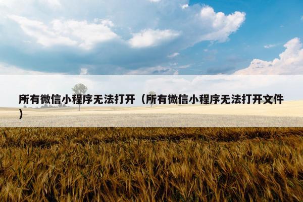 所有微信小程序无法打开（所有微信小程序无法打开文件）