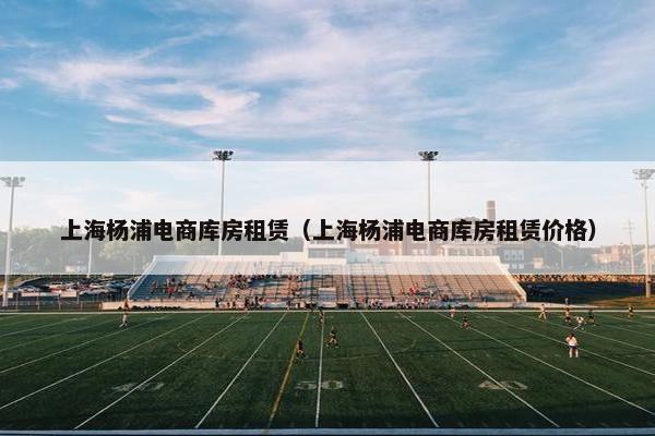 上海杨浦电商库房租赁（上海杨浦电商库房租赁价格）