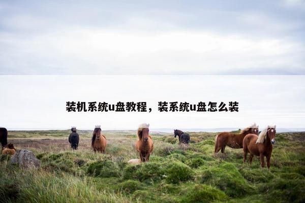 装机系统u盘教程，装系统u盘怎么装