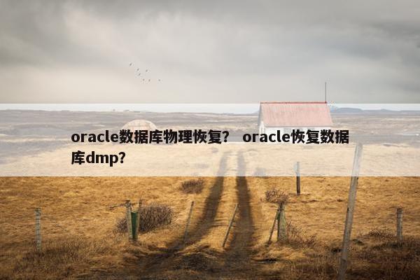 oracle数据库物理恢复？ oracle恢复数据库dmp？