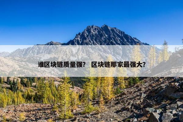 谁区块链质量强？ 区块链那家最强大？