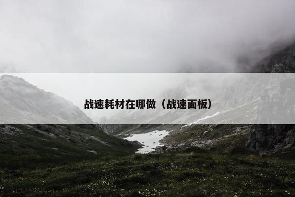 战速耗材在哪做（战速面板）