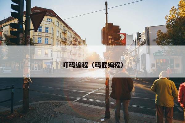 叮码编程（码匠编程）