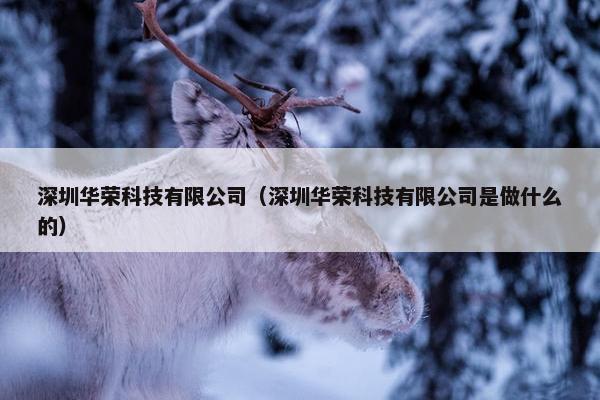 深圳华荣科技有限公司（深圳华荣科技有限公司是做什么的）