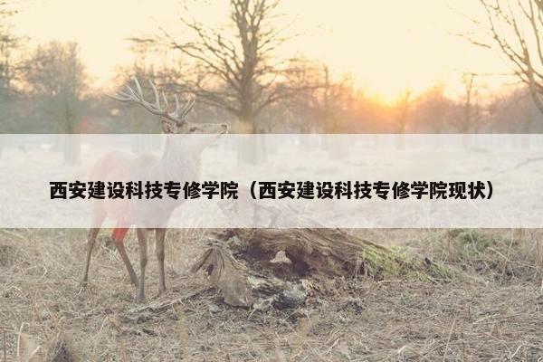 西安建设科技专修学院（西安建设科技专修学院现状）
