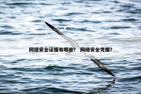 网络安全证据有哪些？ 网络安全凭据？