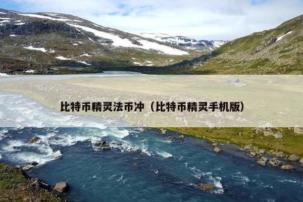 比特币精灵法币冲（比特币精灵手机版）
