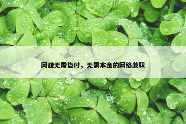 网赚无需垫付，无需本金的网络兼职