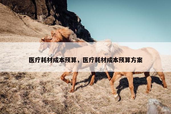 医疗耗材成本预算，医疗耗材成本预算方案