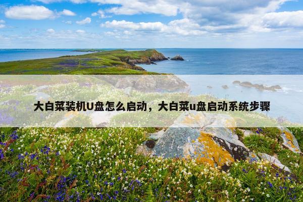 大白菜装机U盘怎么启动，大白菜u盘启动系统步骤