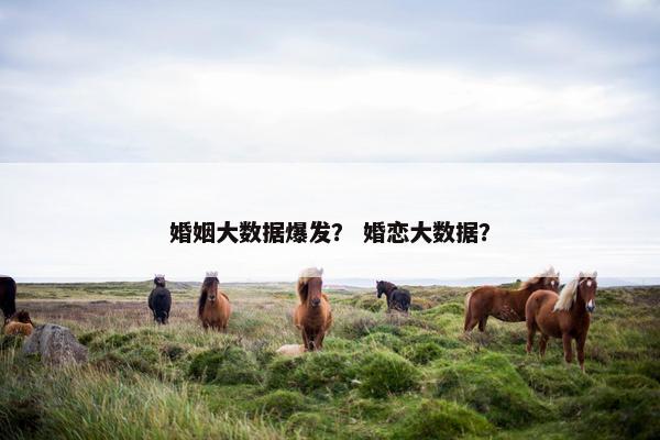 婚姻大数据爆发？ 婚恋大数据？