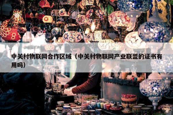 中关村物联网合作区域（中关村物联网产业联盟的证书有用吗）