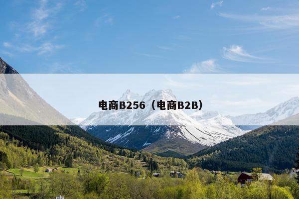 电商B256（电商B2B）