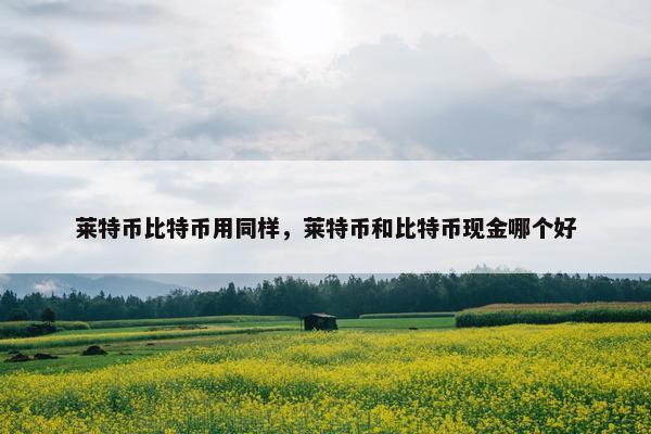 莱特币比特币用同样，莱特币和比特币现金哪个好