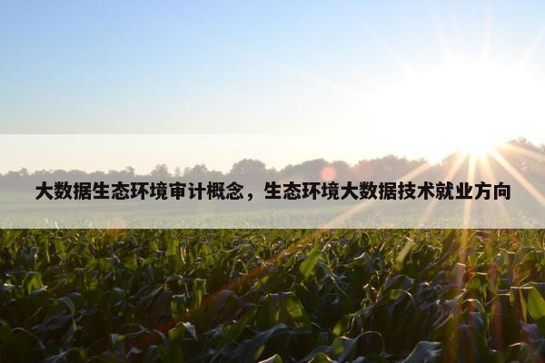 大数据生态环境审计概念，生态环境大数据技术就业方向