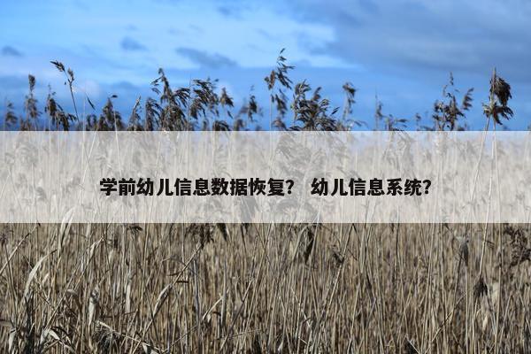 学前幼儿信息数据恢复？ 幼儿信息系统？
