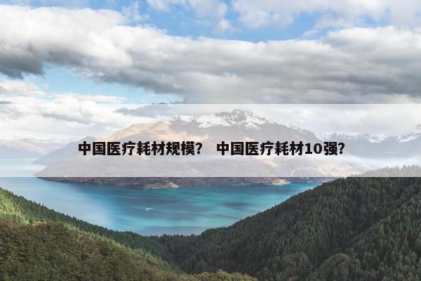 中国医疗耗材规模？ 中国医疗耗材10强？