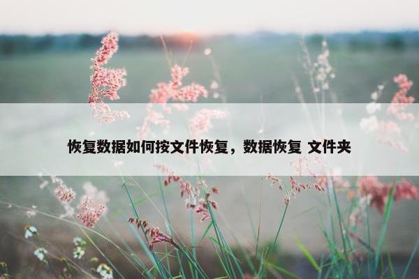 恢复数据如何按文件恢复，数据恢复 文件夹