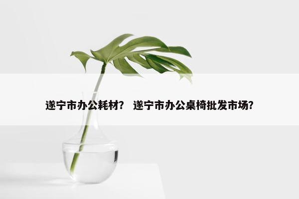 遂宁市办公耗材？ 遂宁市办公桌椅批发市场？