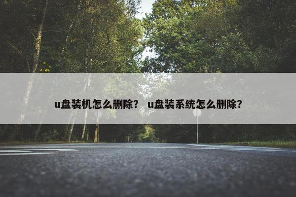 u盘装机怎么删除？ u盘装系统怎么删除？