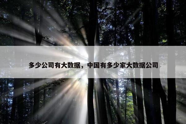 多少公司有大数据，中国有多少家大数据公司