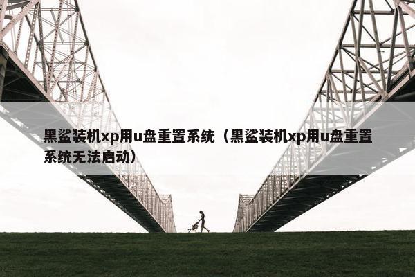 黑鲨装机xp用u盘重置系统（黑鲨装机xp用u盘重置系统无法启动）