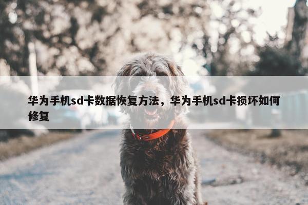华为手机sd卡数据恢复方法，华为手机sd卡损坏如何修复