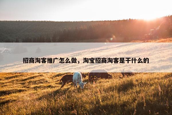 招商淘客推广怎么做，淘宝招商淘客是干什么的