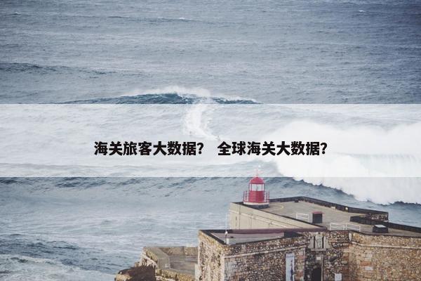 海关旅客大数据？ 全球海关大数据？