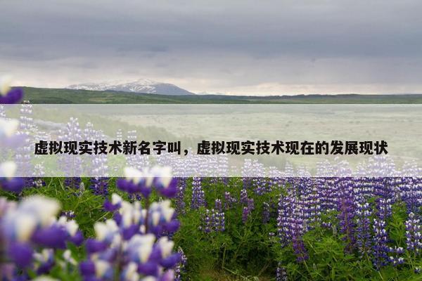 虚拟现实技术新名字叫，虚拟现实技术现在的发展现状