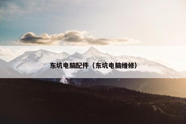 东坑电脑配件（东坑电脑维修）