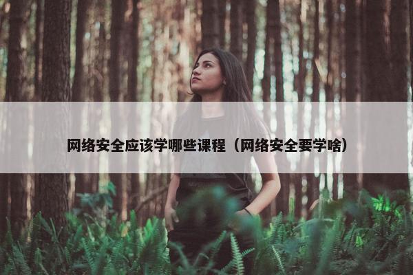 网络安全应该学哪些课程（网络安全要学啥）