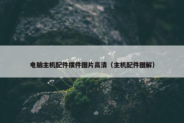 电脑主机配件摆件图片高清（主机配件图解）