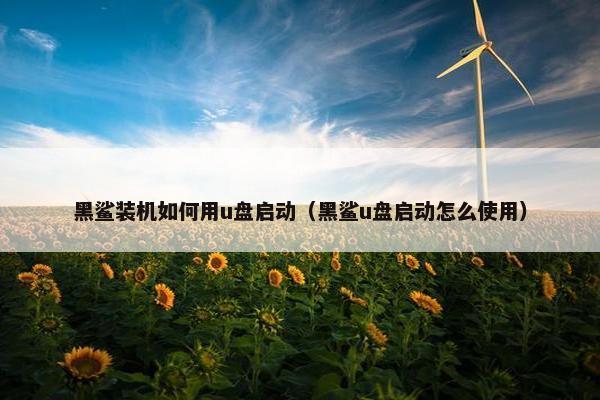 黑鲨装机如何用u盘启动（黑鲨u盘启动怎么使用）