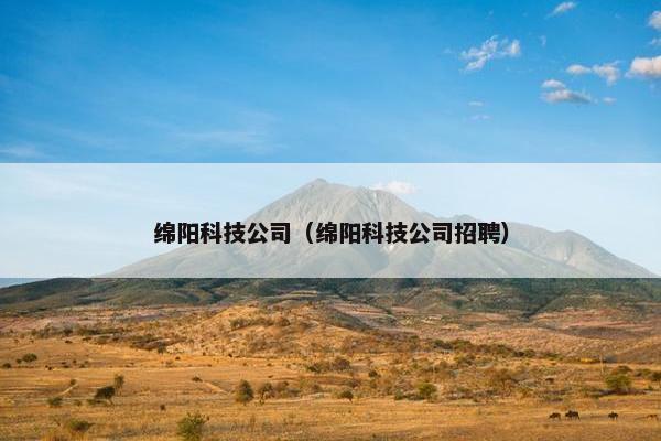 绵阳科技公司（绵阳科技公司招聘）