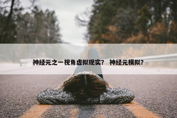 神经元之一视角虚拟现实？ 神经元模拟？