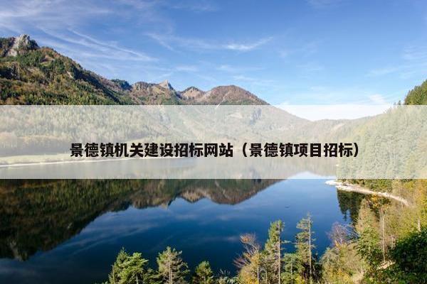 景德镇机关建设招标网站（景德镇项目招标）